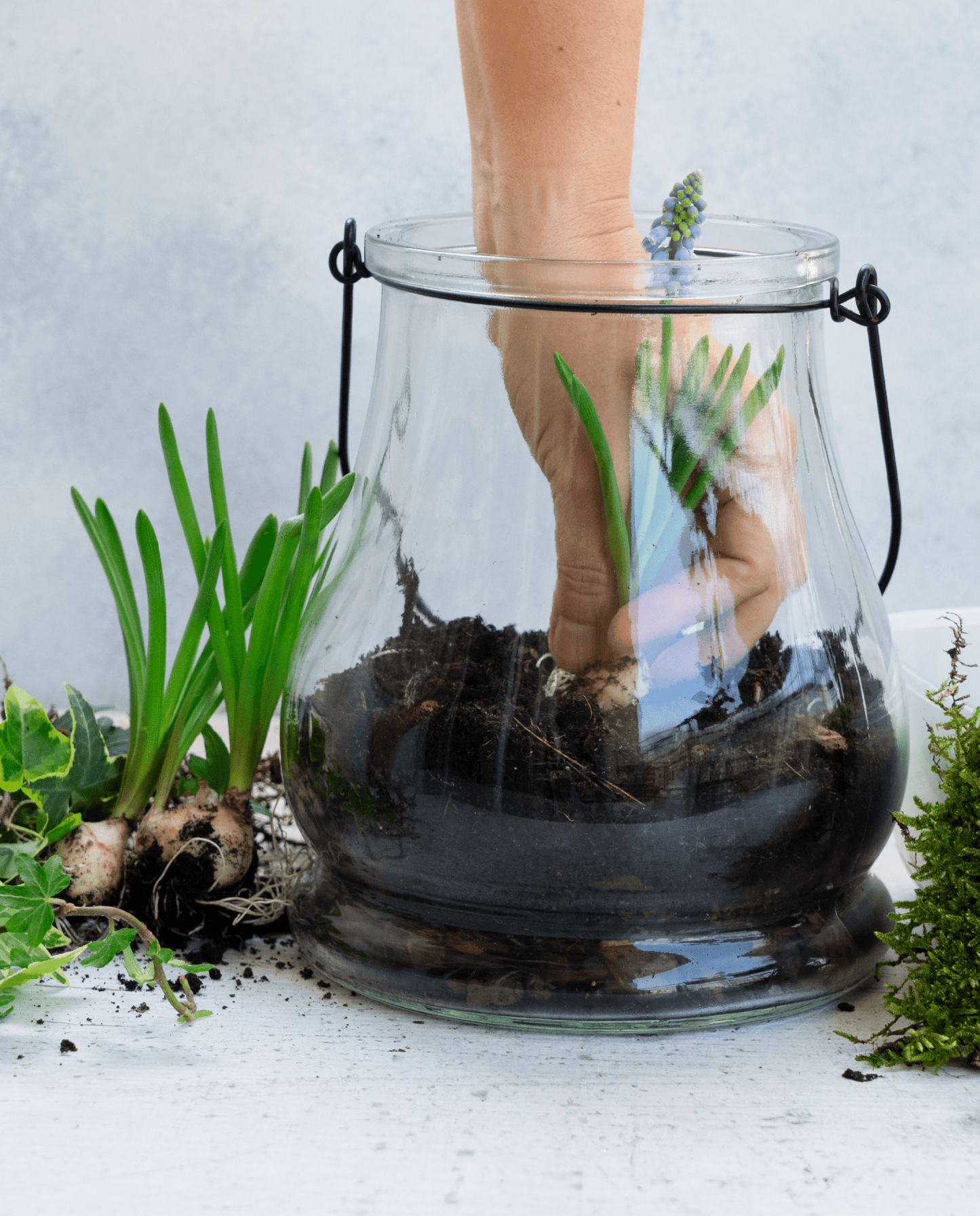 Workshop - Terrarium - ErnestoShop Concept Store