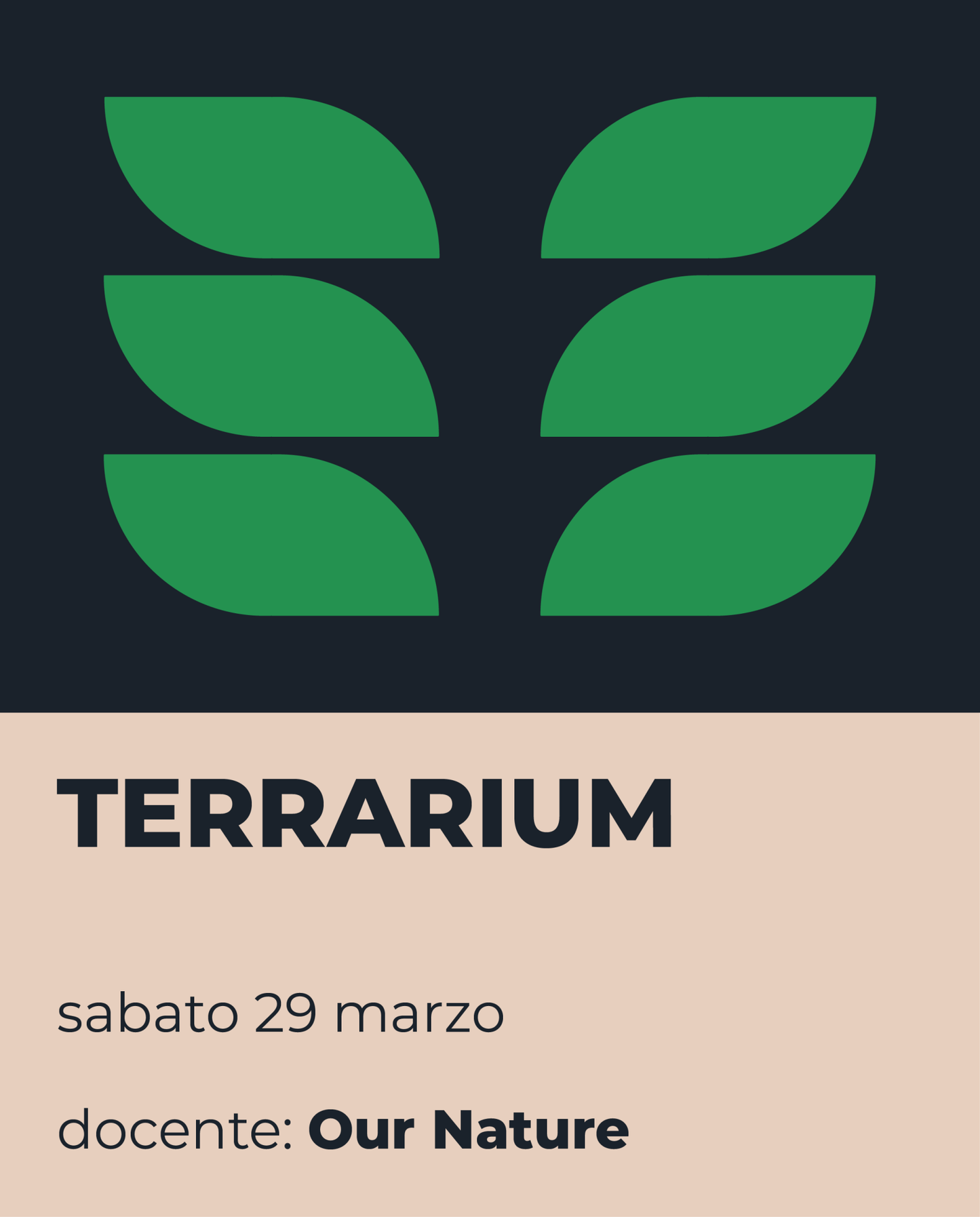 Workshop - Terrarium - ErnestoShop Concept Store