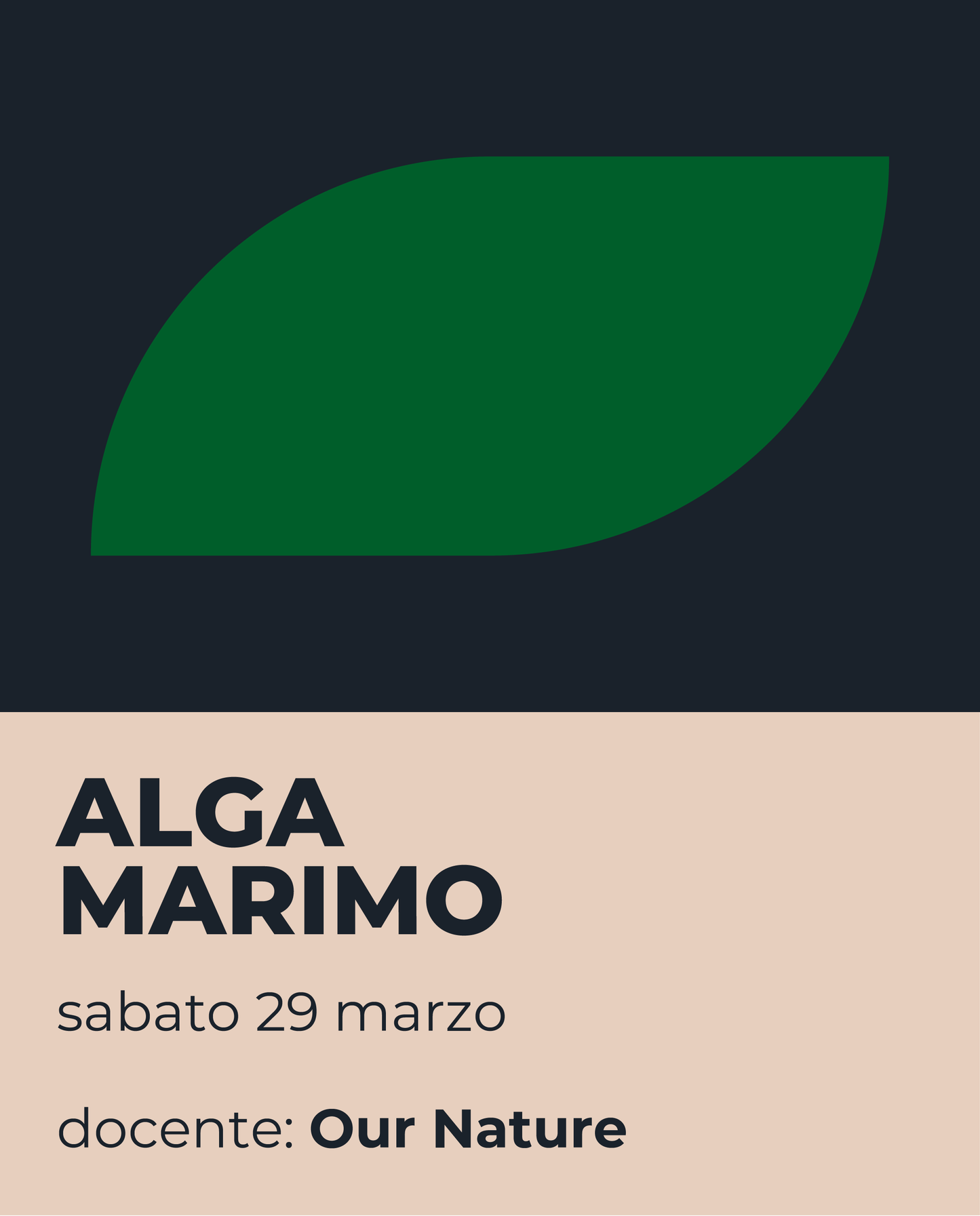 Workshop - Alga Marimo