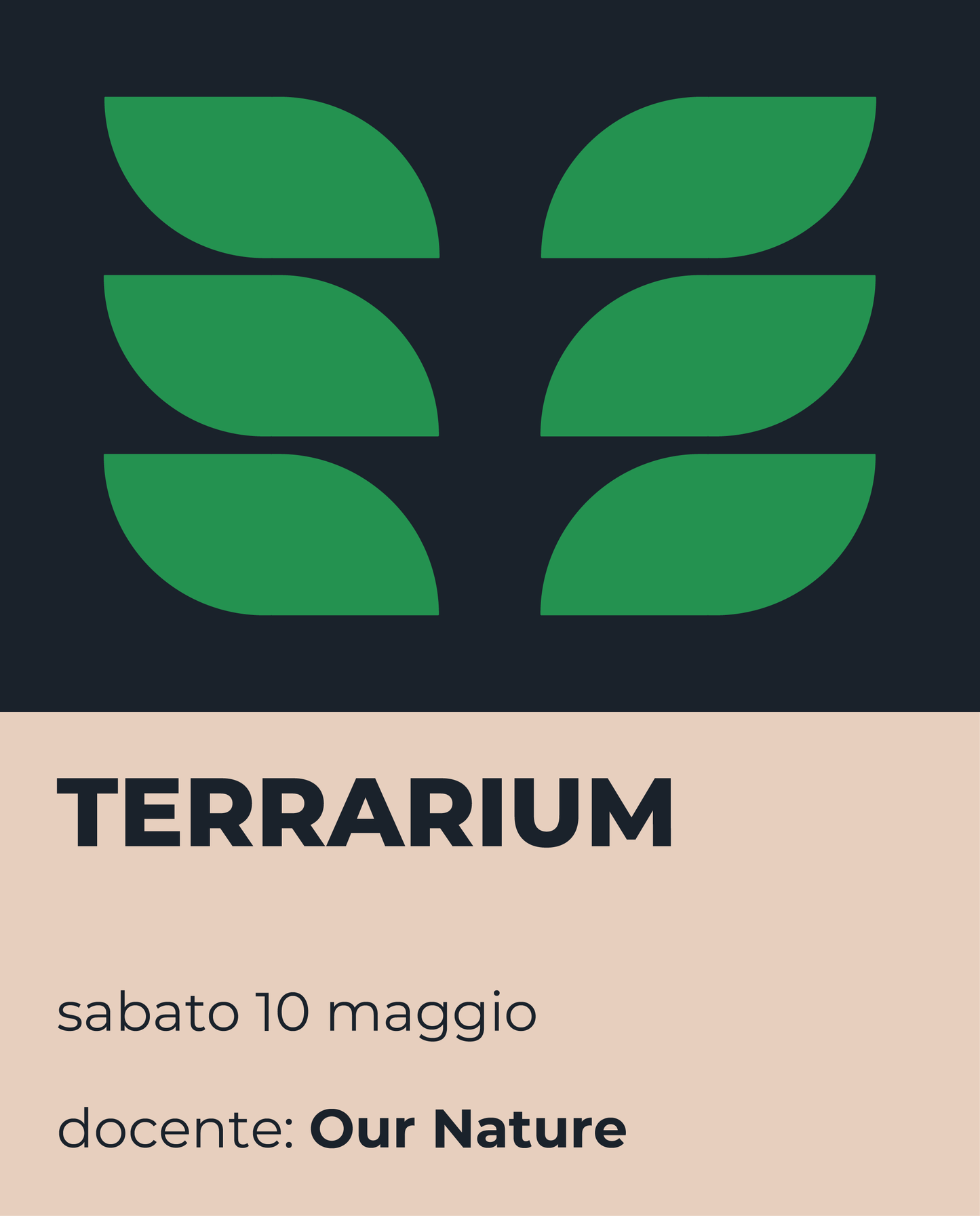 Workshop - Terrarium