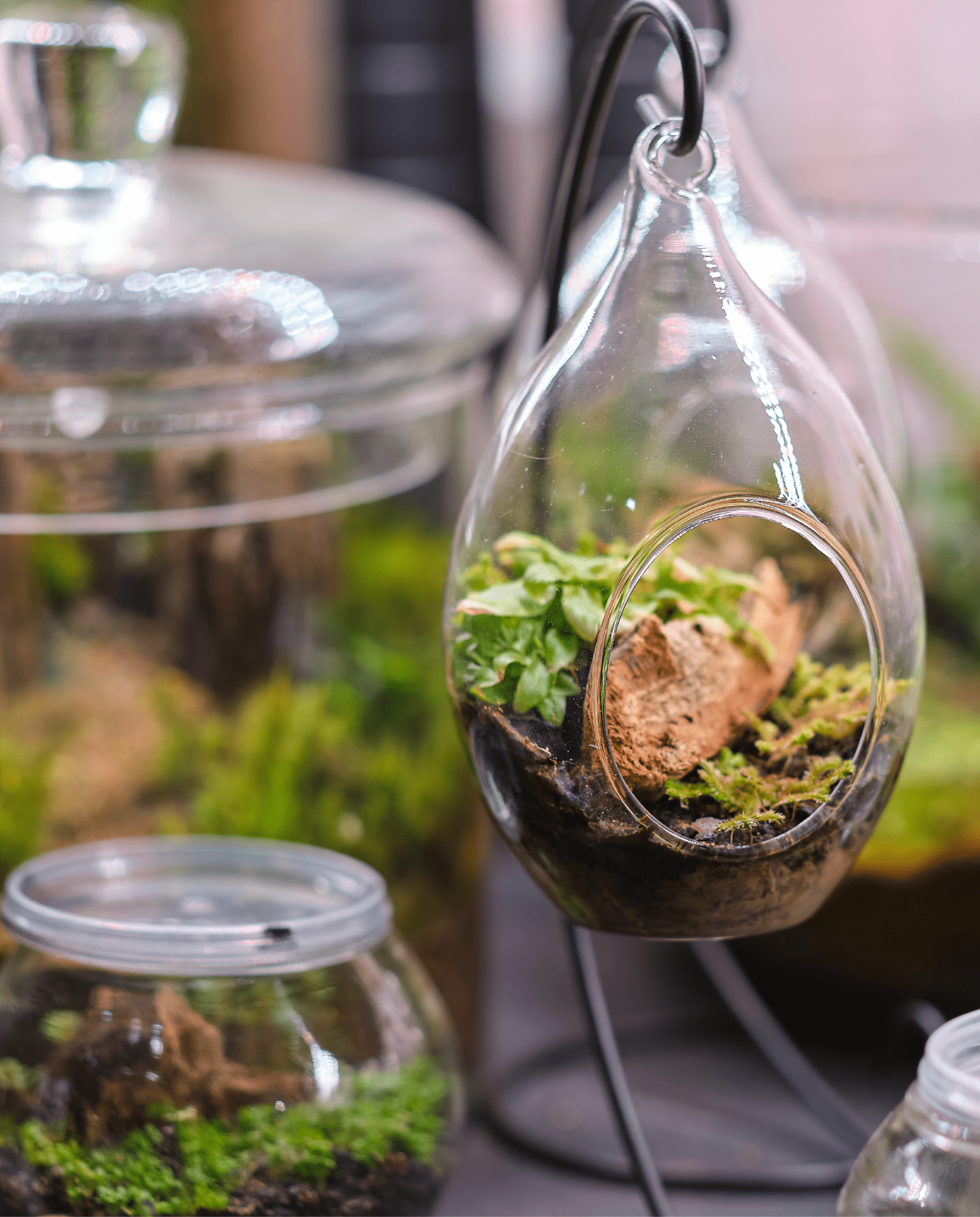 Workshop - Terrarium - ErnestoShop Concept Store